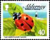 Colnect-5562-383-Seven-Spot-Ladybird-Coccinella-septempunctata-.jpg