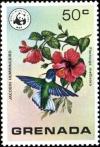 Colnect-5728-947-White-necked-Jacobin-Florisuga-mellivora-Hibiscus.jpg