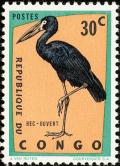 Colnect-2697-244-African-Openbill-Anastomus-lamelligerus.jpg