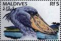 Colnect-4182-858-Shoebill-Balaeniceps-rex.jpg