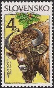 European-Bison-Bison-bonasus.jpg