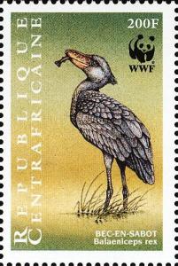 Colnect-4383-456-Shoebill-Balaeniceps-rex.jpg