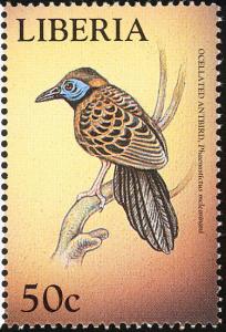 Colnect-1641-845-Ocellated-Antbird-Phaenostictus-mcleannani.jpg