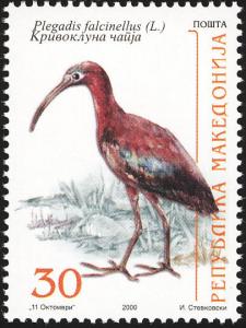 Colnect-2815-546-Glossy-Ibis-Plegadis-falcinellus.jpg