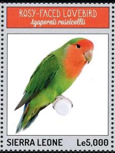 Colnect-3565-909-Rosy-faced-Lovebird%C2%A0-%C2%A0Agapornis-roseicollis.jpg