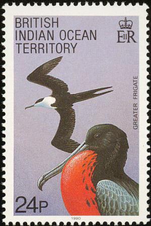 Colnect-1553-518-Great-Frigate-Bird-Fregata-minor-palmerstoni.jpg