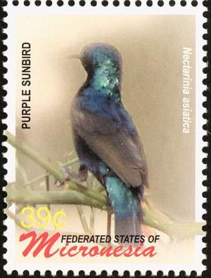 Colnect-1620-632-Purple-Sunbird%C2%A0Nectarinia-asiatica-.jpg