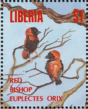 Colnect-1641-782-Northern-Red-Bishop-Euplectes-franciscanus.jpg