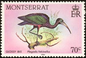 Colnect-1785-067-Glossy-Ibis-Plegadis-falcinellus.jpg