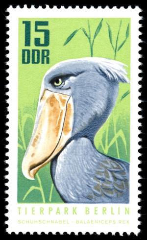 Colnect-1978-316-Shoebill-Balaeniceps-rex.jpg