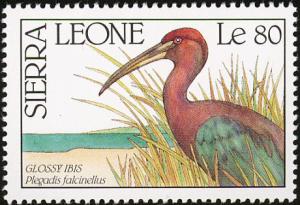 Colnect-2194-114-Glossy-Ibis-Plegadis-falcinellus.jpg