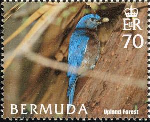 Colnect-2882-901-Eastern-Bluebird-Sialia-sialis---Forest.jpg