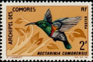 Colnect-787-724-Anjouan-Sunbird-Nectarinia-comorensis.jpg