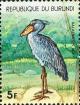 Colnect-4835-103-Shoebill-Balaeniceps-rex.jpg