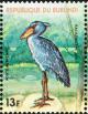 Colnect-5250-752-Shoebill-Balaeniceps-rex.jpg