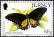 Colnect-6161-162-Common-Birdwing-Troides-helena.jpg