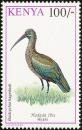 Colnect-753-981-Hadada-Ibis-Bostrychia-hagedash.jpg