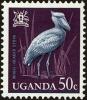 Colnect-4257-185-Shoebill-Balaeniceps-rex.jpg