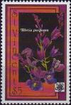 Colnect-3875-872-Bletia-purpurea.jpg