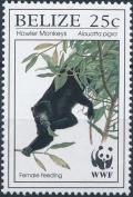 Colnect-2185-929-Guatemalan-Black-Howler-Alouatta-pigra.jpg