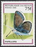 Colnect-854-751-Common-Blue-Polymmatus-icarus.jpg