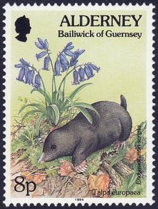 Colnect-5180-997-Mole-Talpa-europaea-Bluebell-Hyacinthoides-non-scripta-.jpg