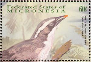 Colnect-1620-577-White-browed-Babbler-Pomatostomus-superciliosus.jpg