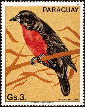 Colnect-1724-420-Red-breasted-Blackbird-Sturnella-militaris.jpg