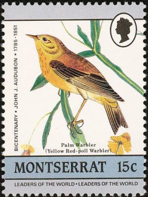 Colnect-1785-016-Palm-Warbler%C2%A0Dendroica-palmarum.jpg