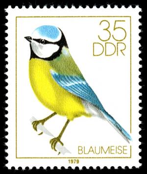 Colnect-1980-393-Eurasian-Blue-Tit-Parus-caeruleus.jpg