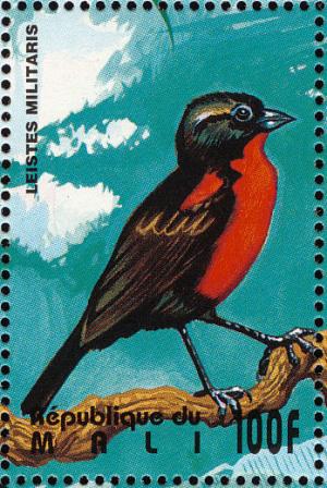 Colnect-2376-010-Red-breasted-Blackbird-Sturnella-militaris.jpg