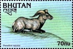 Colnect-3447-551-Himalayan-Blue-Sheep-Pseudois-nayaur.jpg