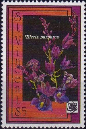 Colnect-3875-872-Bletia-purpurea.jpg