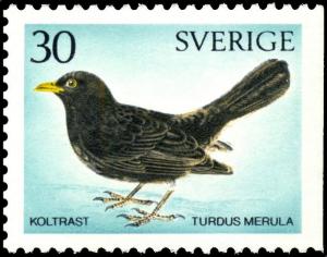 Colnect-4279-109-Common-Blackbird-Turdus-merula.jpg