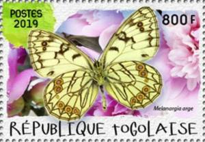 Colnect-5646-462-Italian-Marbled-White-Melanargia-arge.jpg