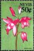 Colnect-4411-459-Bletilla-striata.jpg