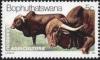 Colnect-1108-649-Cattle-Bos-primigenius-indicus.jpg