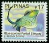 Colnect-1832-630-Blue-spotted-Ribbontail-Stingray-Taeniura-lymma.jpg