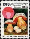 Colnect-2067-320-Boletus-satanas.jpg