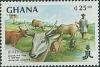 Colnect-2354-514-Cattle-Bos-primigenius-indicus.jpg