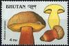 Colnect-2930-749-Boletus-calopus.jpg