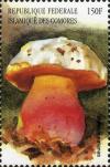 Colnect-3038-223-Boletus-satanus.jpg