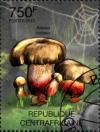 Colnect-3075-300-Boletus-calopus.jpg