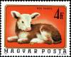 Colnect-4502-901-Cattle-Bos-primigenius-taurus.jpg