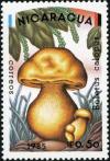 Colnect-4898-575-Boletus-calopus.jpg