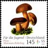 Colnect-5483-968-Bay-Bolete-Imleria-badia.jpg