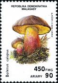 Colnect-2165-297-Boletus-calopus.jpg