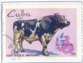 Colnect-2510-872-Cattle-Bos%C2%A0primigenius-taurus.jpg