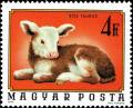 Colnect-4502-901-Cattle-Bos-primigenius-taurus.jpg