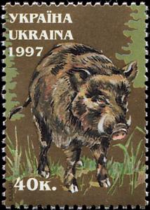 Colnect-4774-127-Boar-Sus-scrofa.jpg